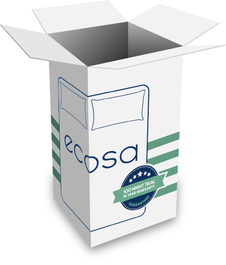 Ecosa Mattress In A Box
