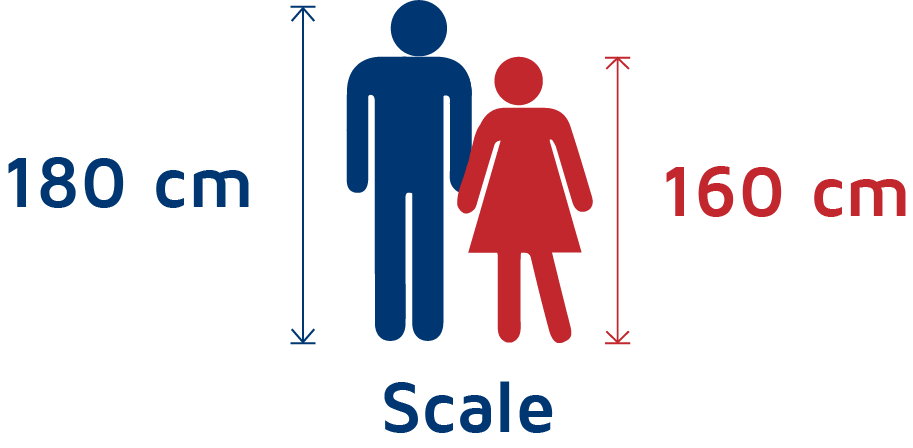 Mattress Height Measurement