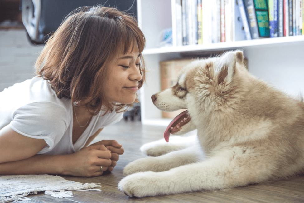 Why It's Completely Safe to Sleep with Your Pet Why It's Completely Safe to Sleep with Your Pet