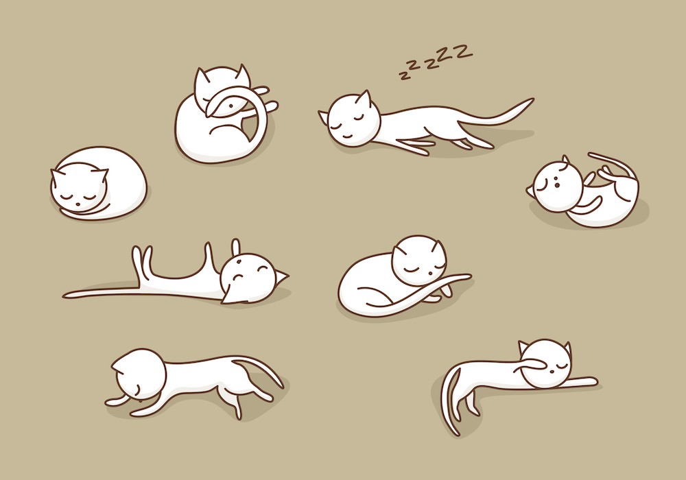 The best and the worst sleeping position for your health The best and the worst sleeping position for your health